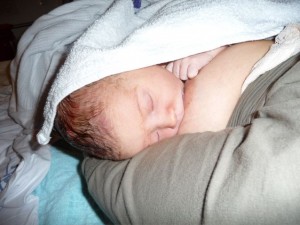 1st feed 1st feed